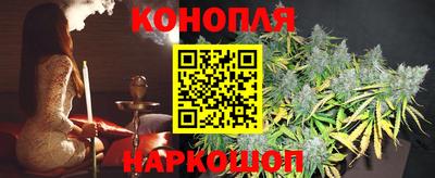 прущие крисы Северобайкальск