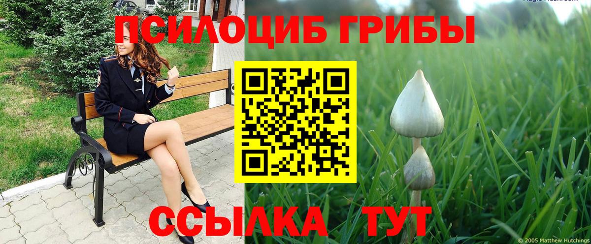 Псилоцибиновые грибы мухоморы Полевской