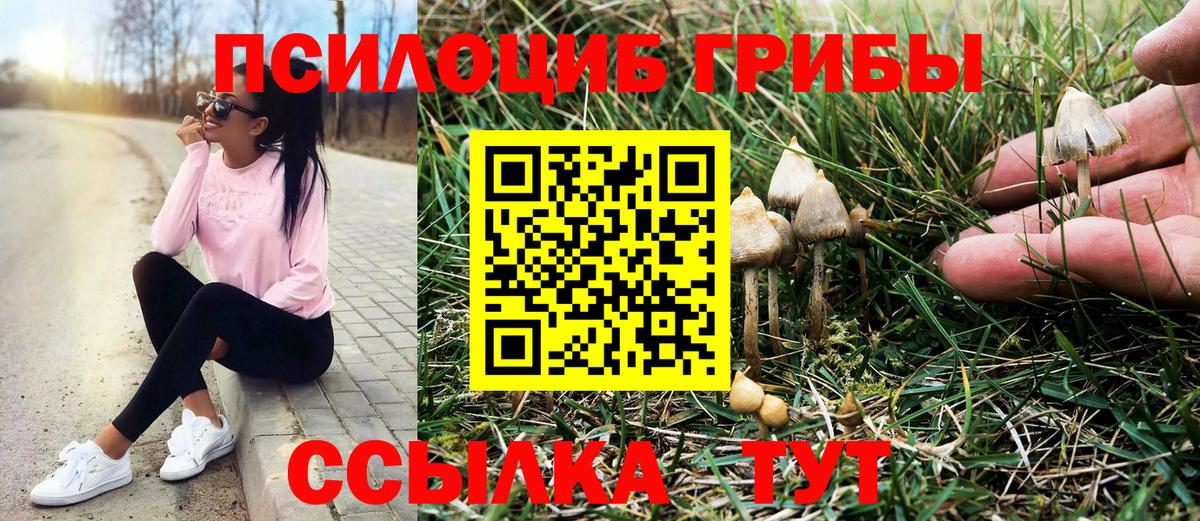 Псилоцибиновые грибы мицелий  Вход с VPN  Полевской  Галлюциногенные грибы Psilocybe 